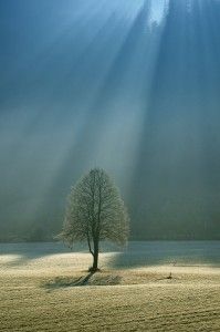 500px_Photo_sunlight_JanezTolar-199x300