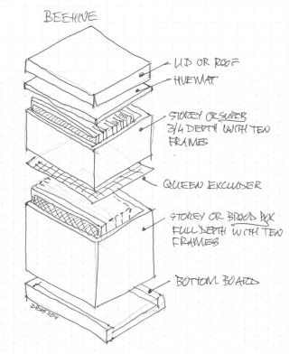 Beehive layout of boxes and hiveware - by Dirk Pons 