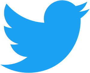 300px-Twitter_bird_logo_2012